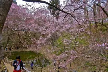 The pond near the Ou-Un-Kyo