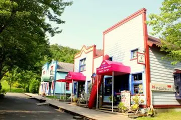 Gallery image