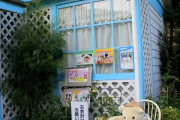 Gallery image