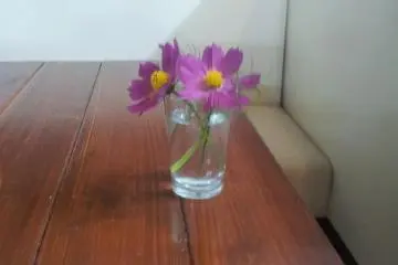 Simple, tasteful decor