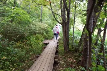 Trail around Otatomari Pond 