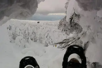 In the belly of the beast. I found a snow monster that was hollow inside