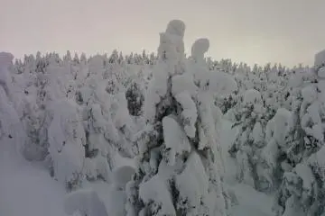 Light and dark changes every minute as clouds, wind, and cold rule the very top of the mountain