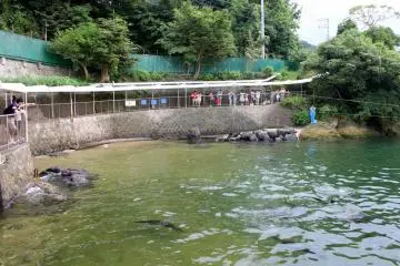 The Sea Lions' Territory at the Sea Paradise