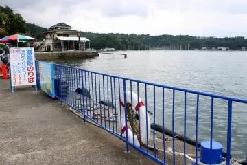 Behold and be mesmerized with the blueness of Suruga Bay from here