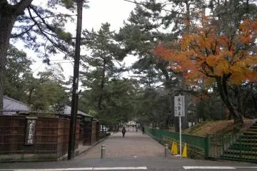 Salah satu jalur masuk menuju Nara Park