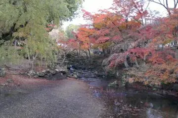 Betapa cantiknya sudut-sudut di Nara Park