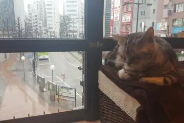 비오는 날엔...