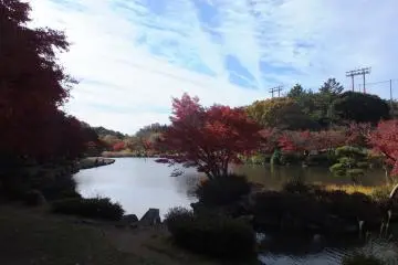 Pond at one of the many parks in Yokohama