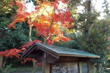 Park in Yokohama