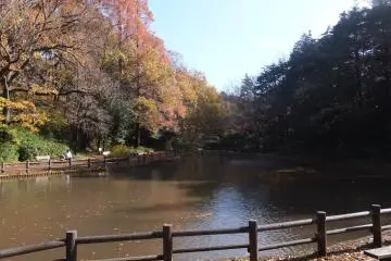 Children Park, Hodogaya 
