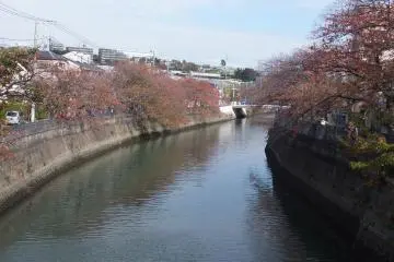 One of a multitude of canals in Yokohama