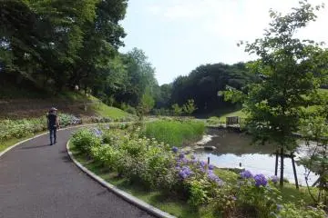 Hodogaya Park