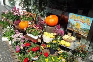 Halloween display 