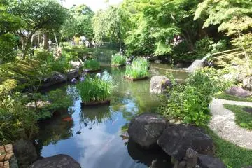 Beauty in Kamakura