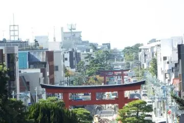 Hachimangu Shrine, Kamakura