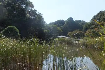 Kuraki Park