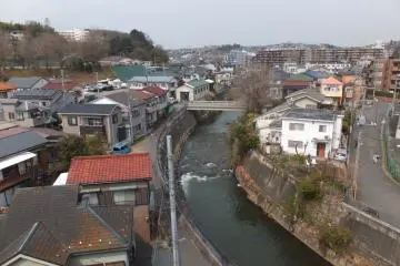 A typical view along my daily walk