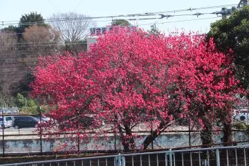 Beautiful colors along a canal