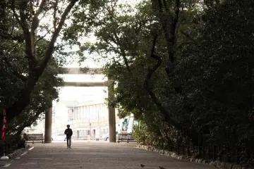 Gallery image
