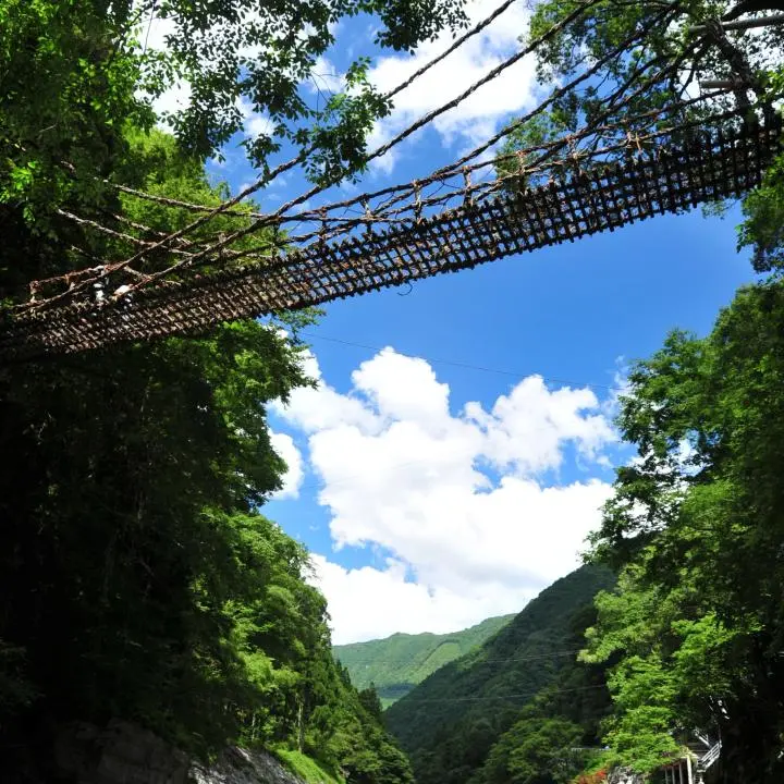 Tokushima: Top Things to Do - Tokushima City, Tokushima - Japan Travel