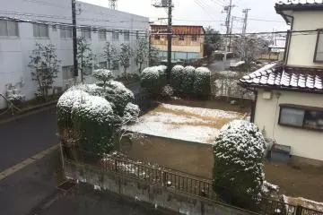 A light dusting of snow around 7 a.m.