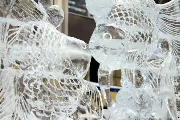 These fish very nearly kiss in an ice sculpture