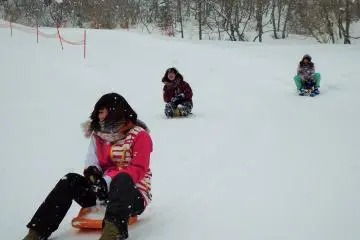 A variety of sleds can be ridden down a long, exciting course that runs parallel to the ski slopes.