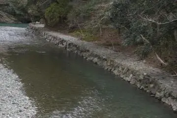 A photo of Isuzu River from Ujibashi bridge leading toward Naikuu. The clear river is beautiful.