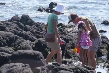 Enjoying the beach