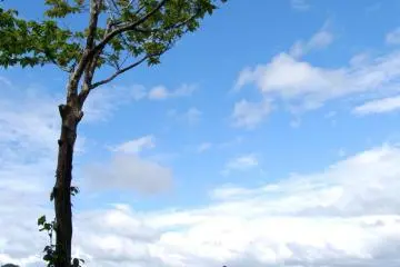 Along the Dainichigoe trail