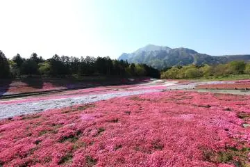 Hitsujiyama Park