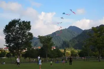 Go Fly A Kite