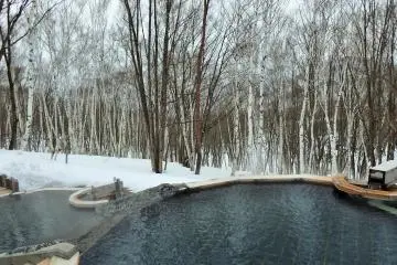Guests of the hotel can soak in this amazing rotemburo overlooking a lovely white birch tree forest.