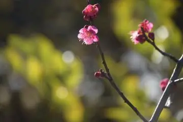 따뜻한 햇살아래