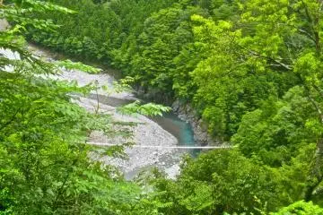 The Saru Ami no Tsuri Bashi from the path to the Yumei no Tsuri Bashi (June)