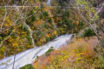 The Sumatakyo in it's full autumn glory