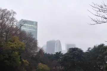 Kabut sore menutupi gedung-gedung pencakar langit.