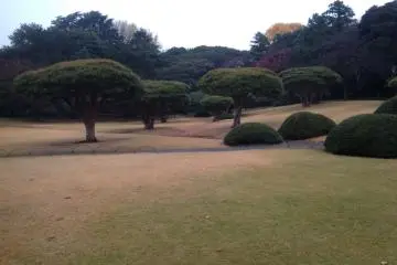 Taman unik