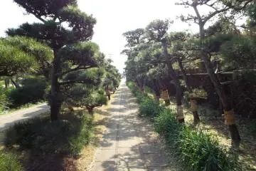 Path to Scenic Lookouts