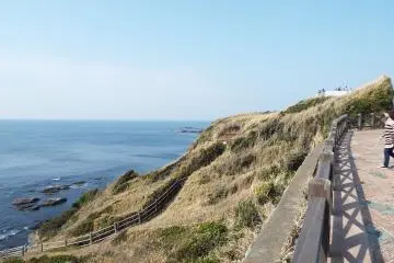 Scenic View