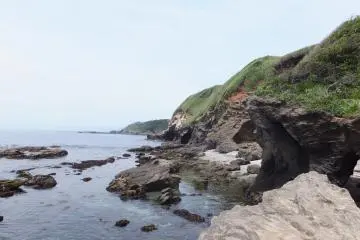 Scenic View