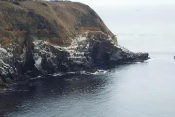 Cliff habitat