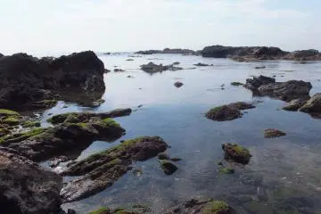 Near Horseback Cave