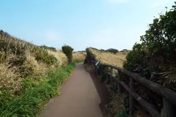 Pathway to Horseback Cave and Jogashima Lighthouse