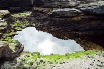 Tidal Pools