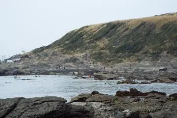 Scenic View