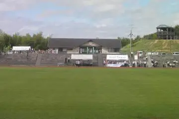 the field