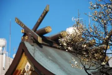 Yushima Tenjin Ume Matsuri 2027