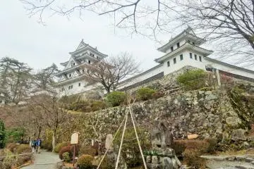 Gallery image